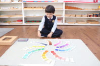 Activities of the Montessori