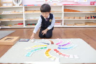 Activities of the Montessori