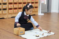 Activities of the Montessori