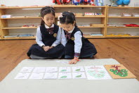 Activities of the Montessori